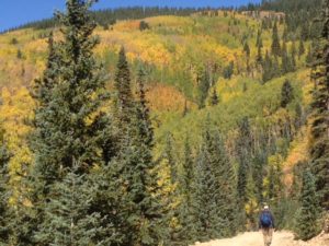 That's me being intentional on my hike - enjoying fall mountain air and tree color.